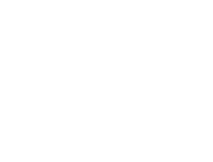 Finnishsuperberries logo rgb white lowres